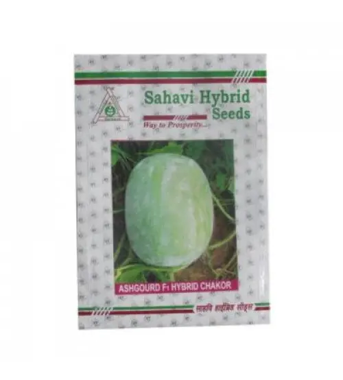 Ash Gourd Hybrid Chakor (Oblong Type) 100 grams